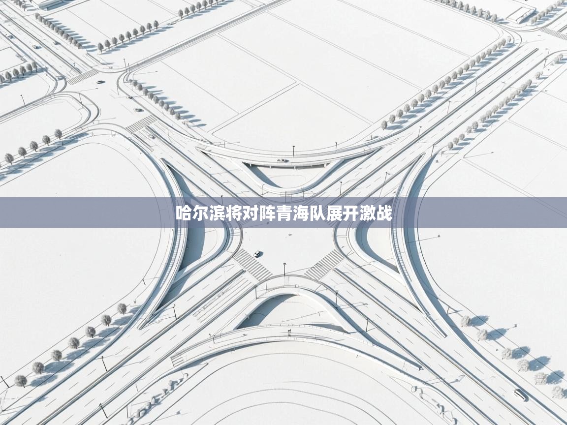 哈尔滨将对阵青海队展开激战 第2张