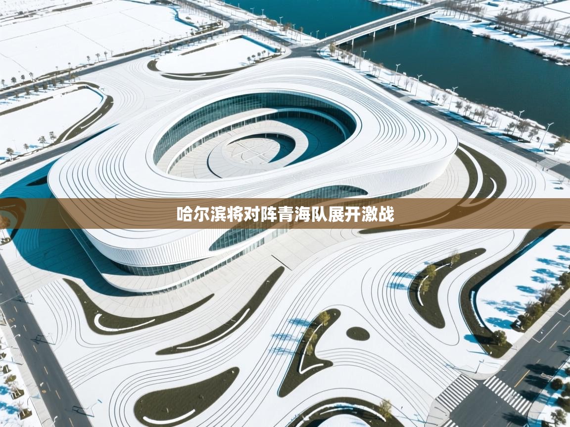 哈尔滨将对阵青海队展开激战 第1张