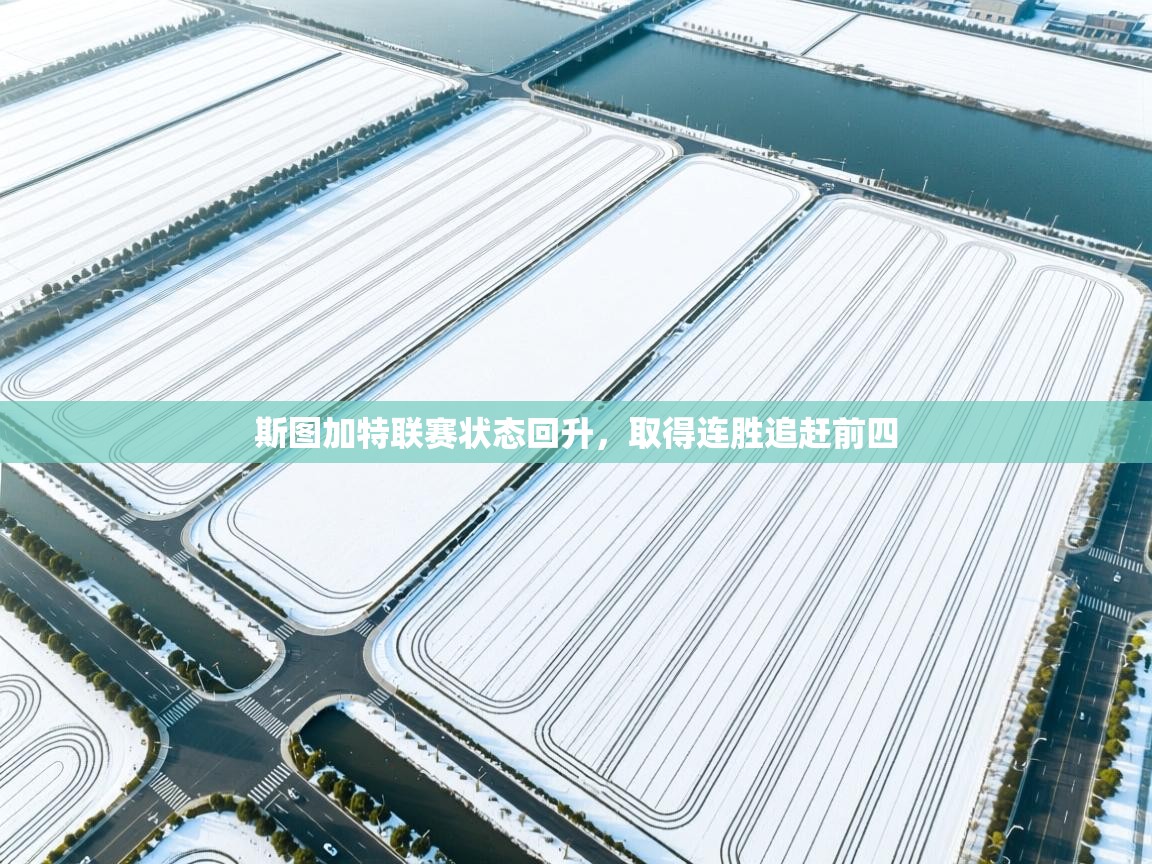 斯图加特联赛状态回升,取得连胜追赶前四 第2张