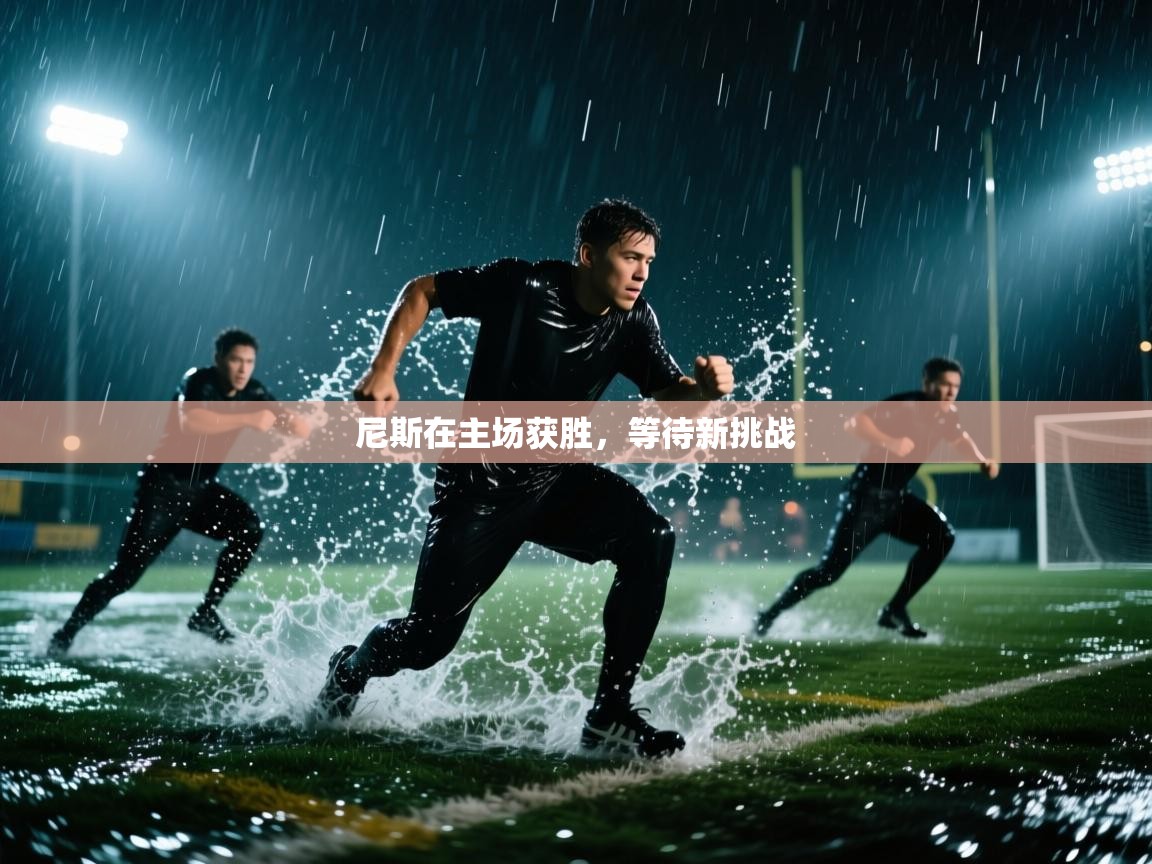 尼斯在主场获胜，等待新挑战