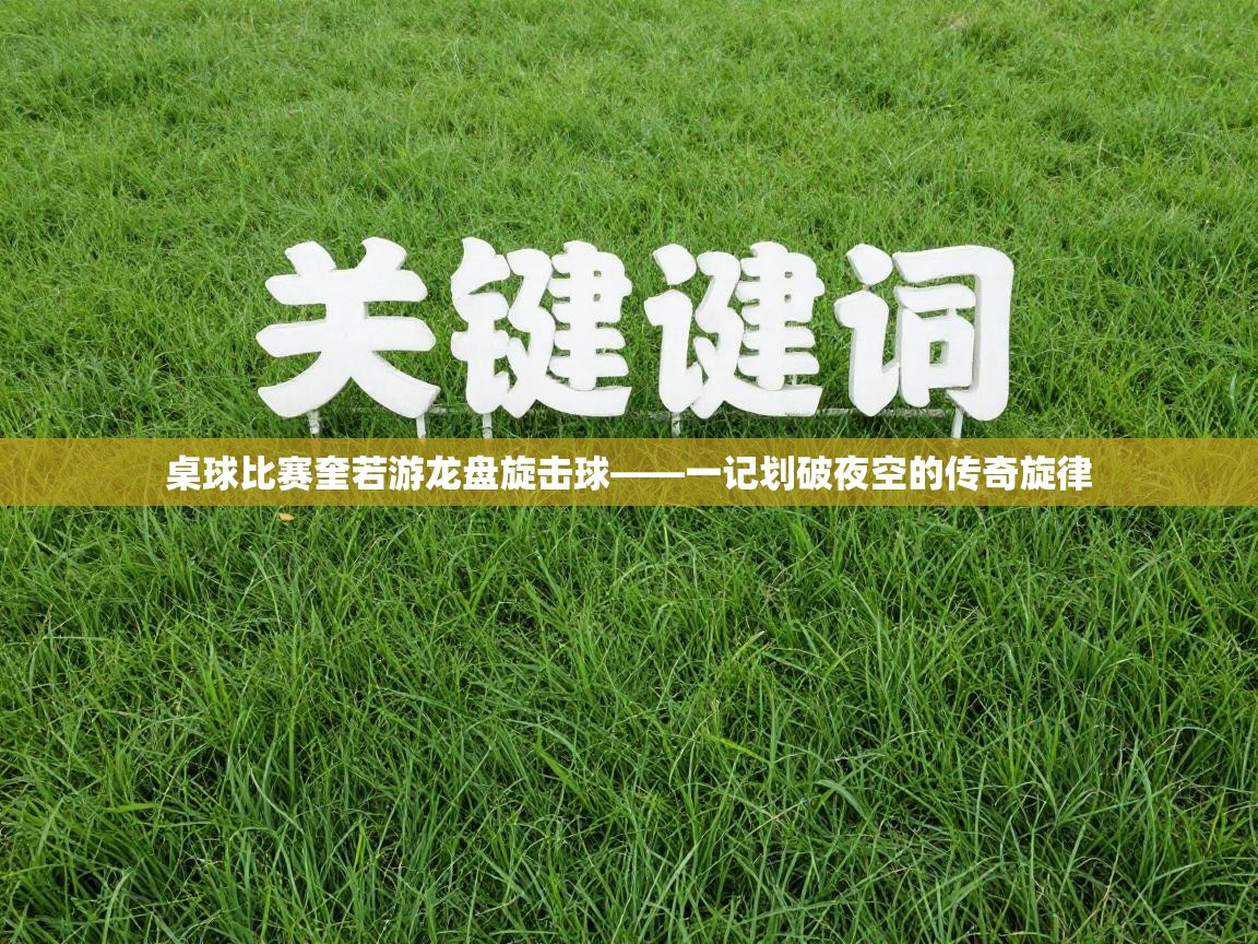 桌球比赛奎若游龙盘旋击球——一记划破夜空的传奇旋律