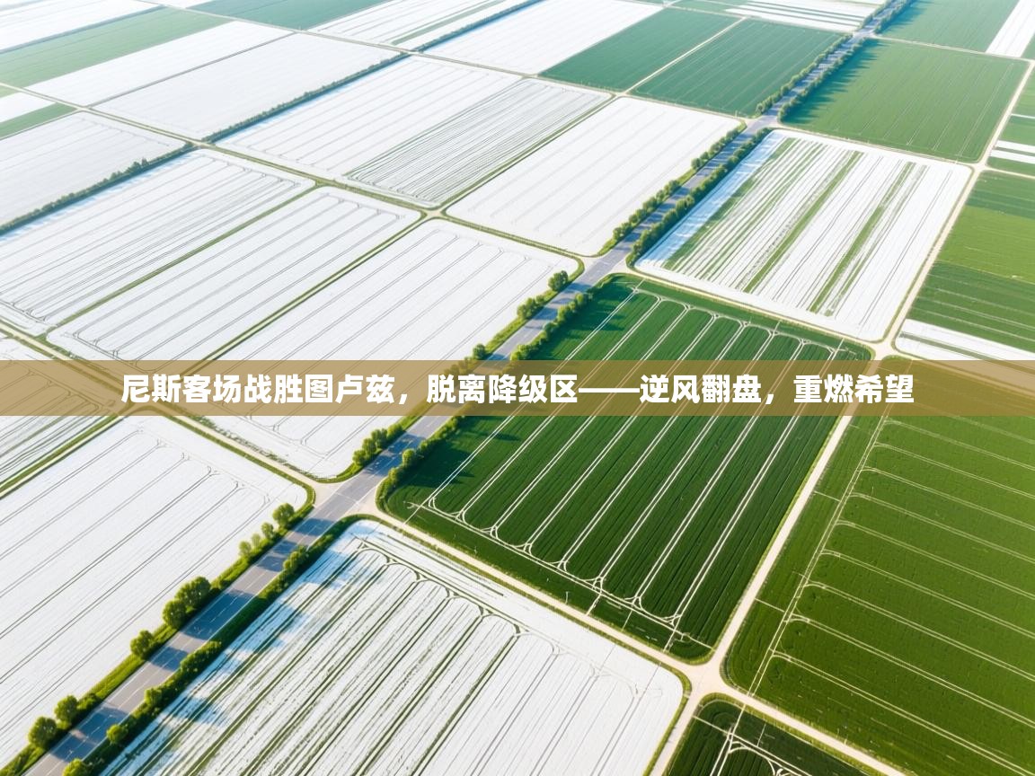 尼斯客场战胜图卢兹，脱离降级区——逆风翻盘，重燃希望  第2张