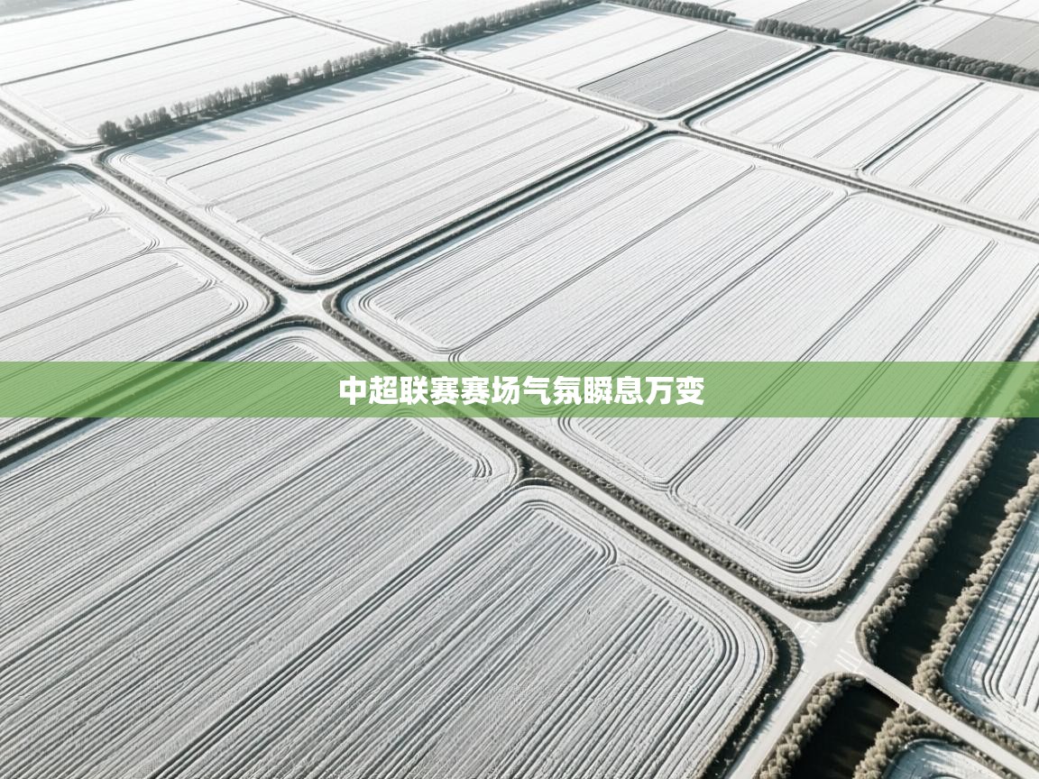 中超联赛赛场气氛瞬息万变